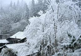 Freezing World!Winter In China's Hubei Province.